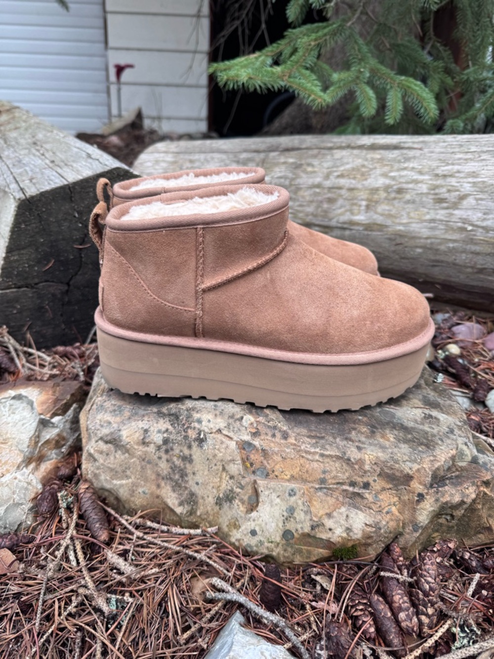 UGG Chestnut Suede Platform Mini Booties - Picture 4 of 15
